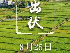 今天出伏！“加長(zhǎng)版三伏”終于結(jié)束啦